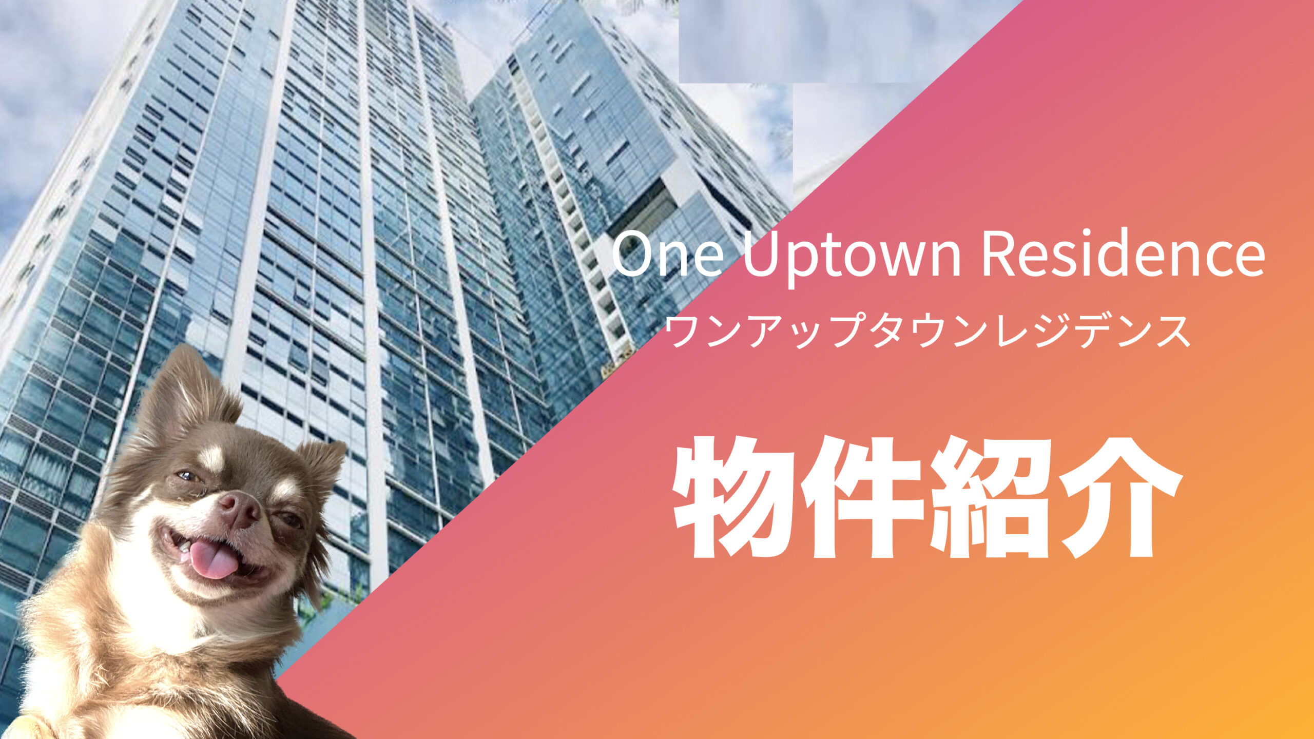 割引プラン有り】CITY-Xの親で速いよ MARIPOSA mini 埼玉上尾